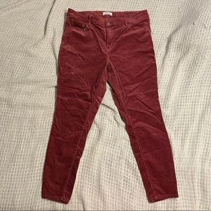 Six 16 Ladies Corduroy Loft Plus pants
